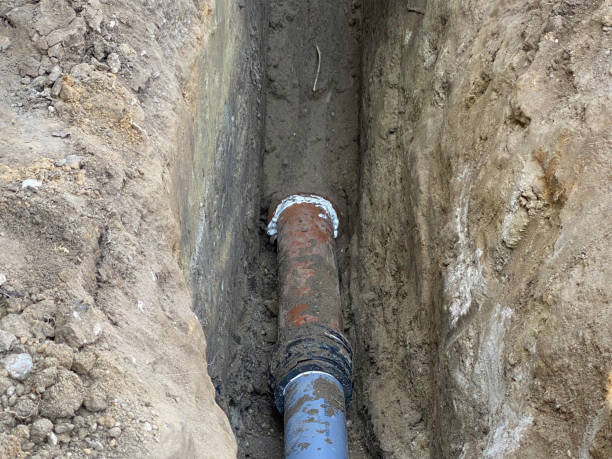Best Basement water damage restoration  in Walden, NY