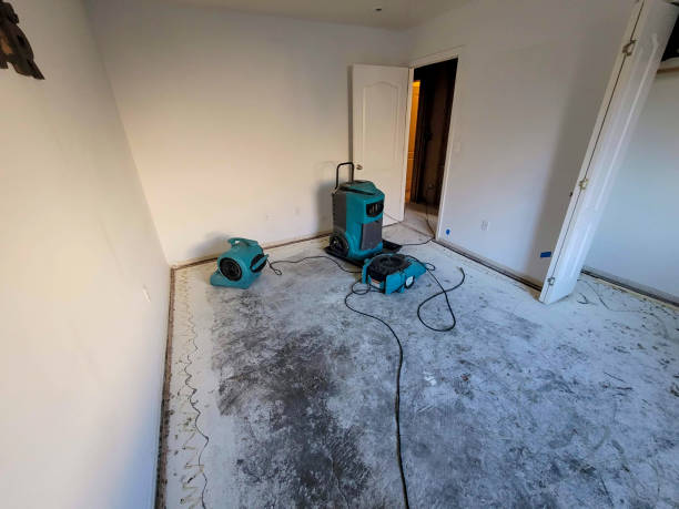 Best Carpet water damage restoration  in Walden, NY
