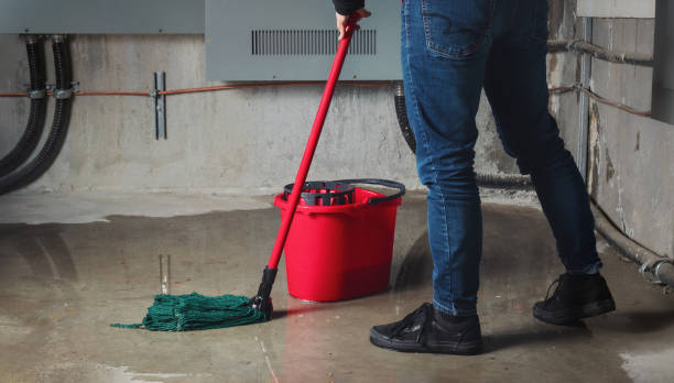 Water damage restoration mold remediation in Walden, NY