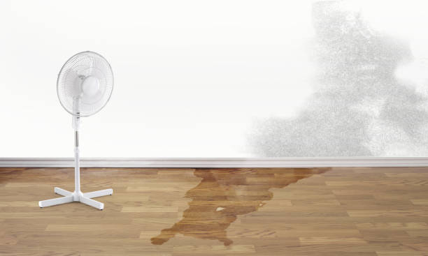 Best Flooded house restoration  in Walden, NY