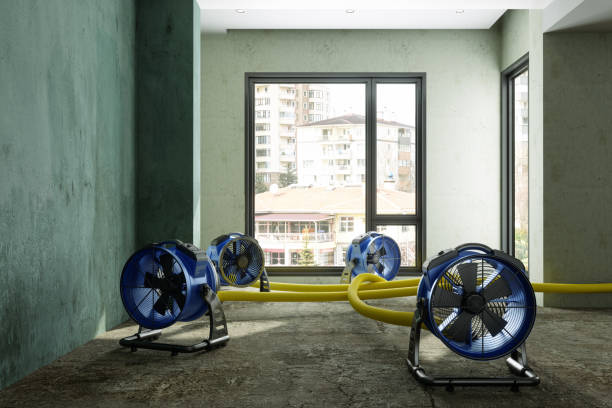 Best Water damage contractors near me  in Walden, NY